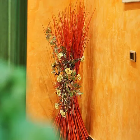 Appartement Vatican Flat Rome