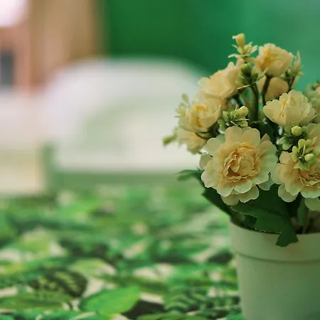 Vatican Flat Lägenhet Rom